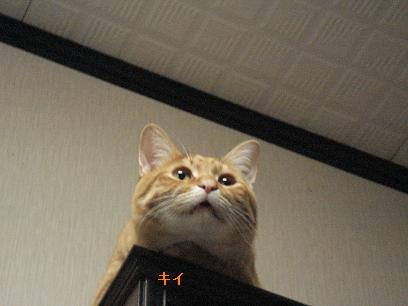 ǂH