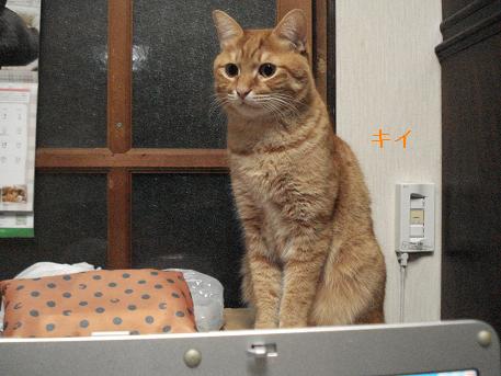 キイ