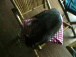 2006 7 18 (5).jpg