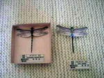 2006 8 5 (10).jpg