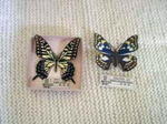 2006 8 5 (11).jpg
