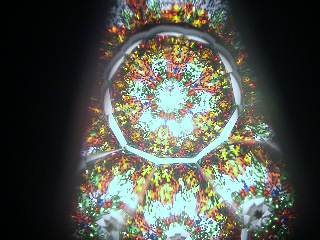 2007 7 26 (16).jpg