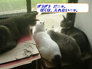 ڂڂ񂭂AbX