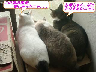 VRA҂A傤B