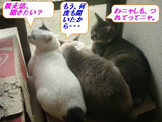 ₩ȒRB