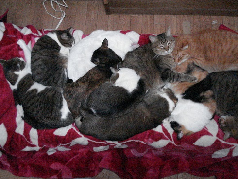DSC01844a.jpg