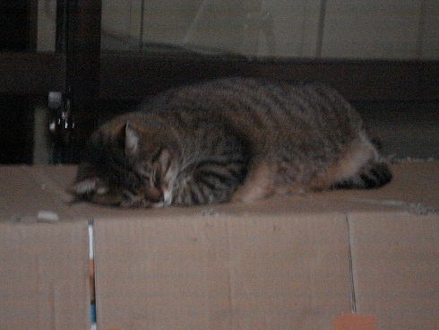 DSC01845a.jpg