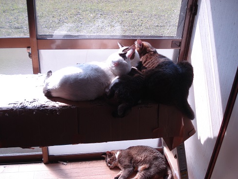 DSC02087a.jpg