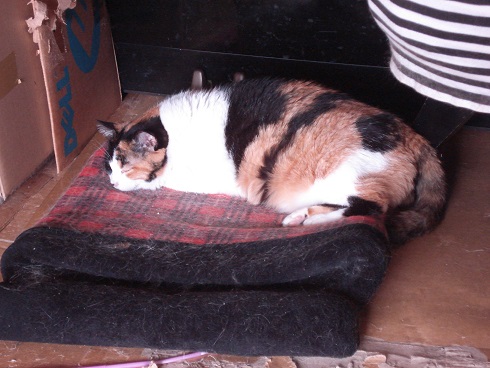 DSC02410a.jpg