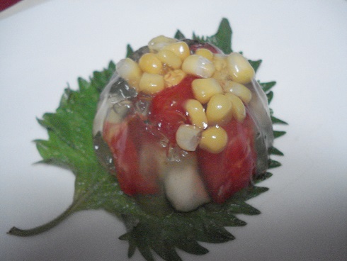 DSC02554a.jpg