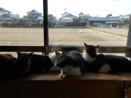 DSCN0152a.jpg