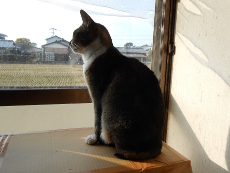 DSCN0522a.jpg