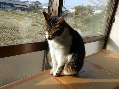 DSCN0523a.jpg