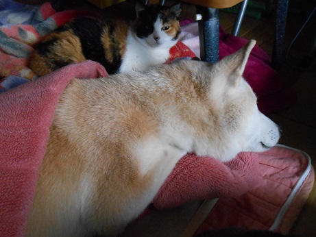 DSCN1016a.jpg