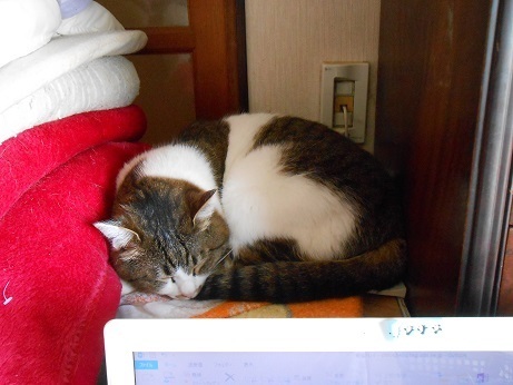 DSCN2441a.jpg