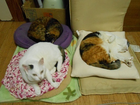 DSCN2563a.jpg