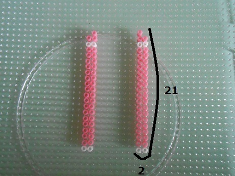 DSCN3099a.jpg