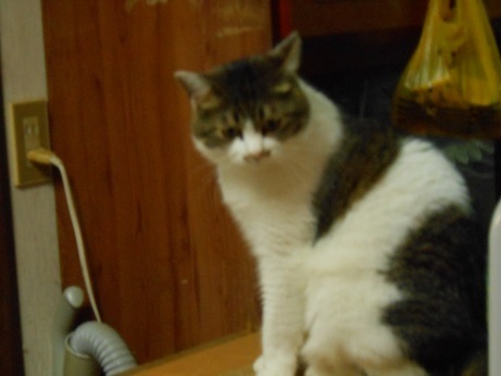 DSCN3420a.jpg