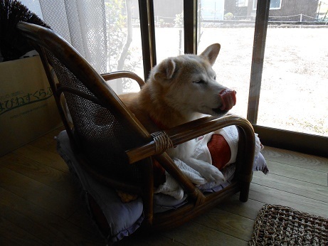 DSCN3617a.jpg