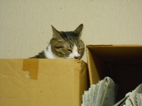DSCN4309a.jpg