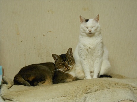 DSCN4396a.jpg