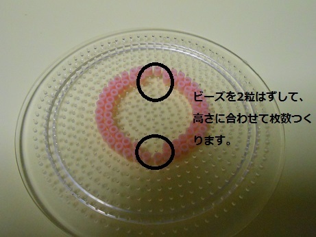 DSCN4543a.jpg
