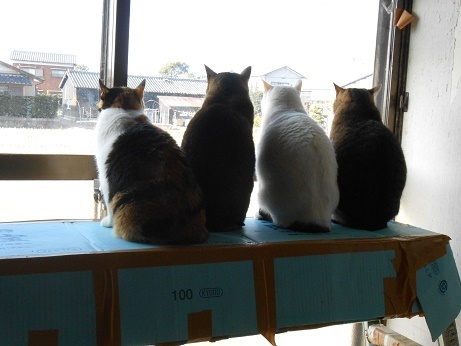 DSCN4899a.jpg