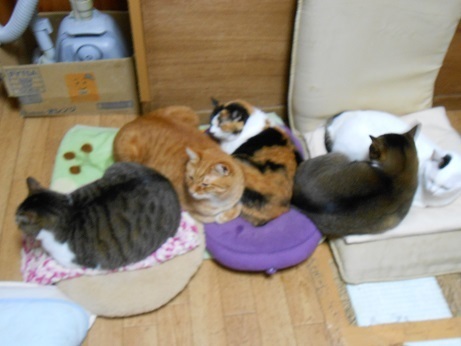 DSCN5097a.jpg