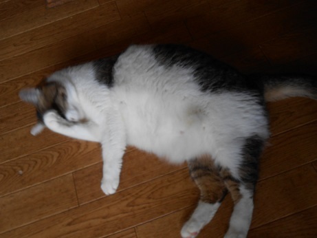 DSCN5103a.jpg