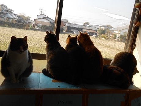 DSCN5418a.jpg
