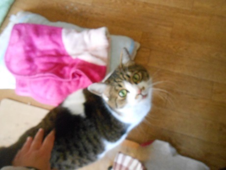 DSCN5434a.jpg