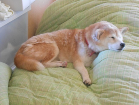 DSCN5445a.jpg