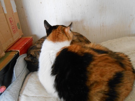 DSCN5599a.jpg