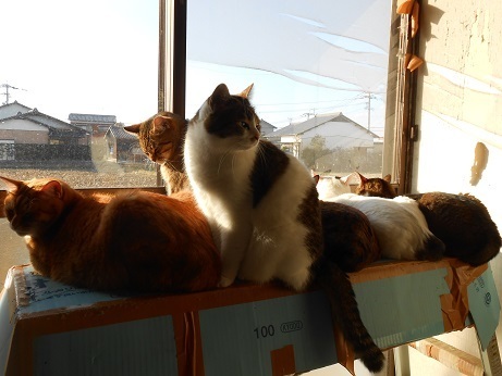 DSCN5654a.jpg
