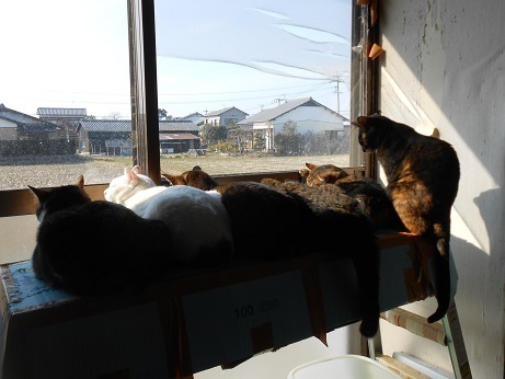 DSCN5765a.jpg