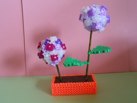 DSCN6626a.jpg