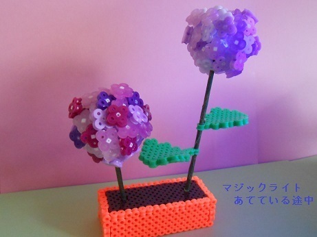 DSCN6627a.jpg