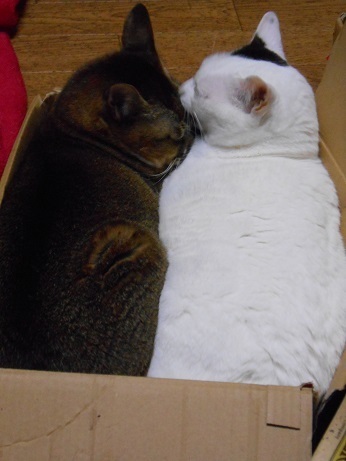 DSCN6853.JPG