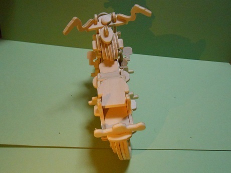 DSCN7031a.jpg