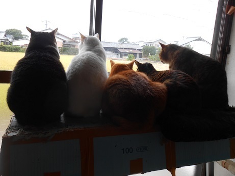 DSCN8084a.jpg