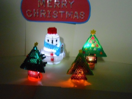 DSCN8800a.jpg