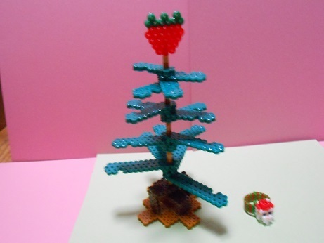 DSCN8902a.jpg