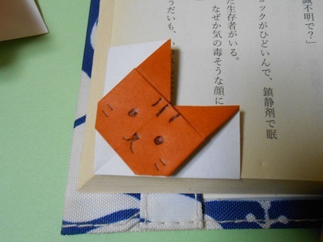 DSCN9008a.jpg