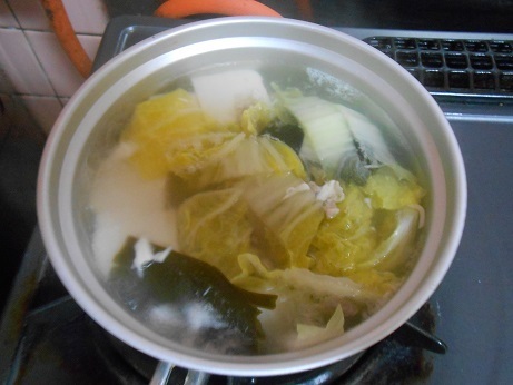 DSCN9091a.jpg
