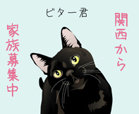 ビターくん